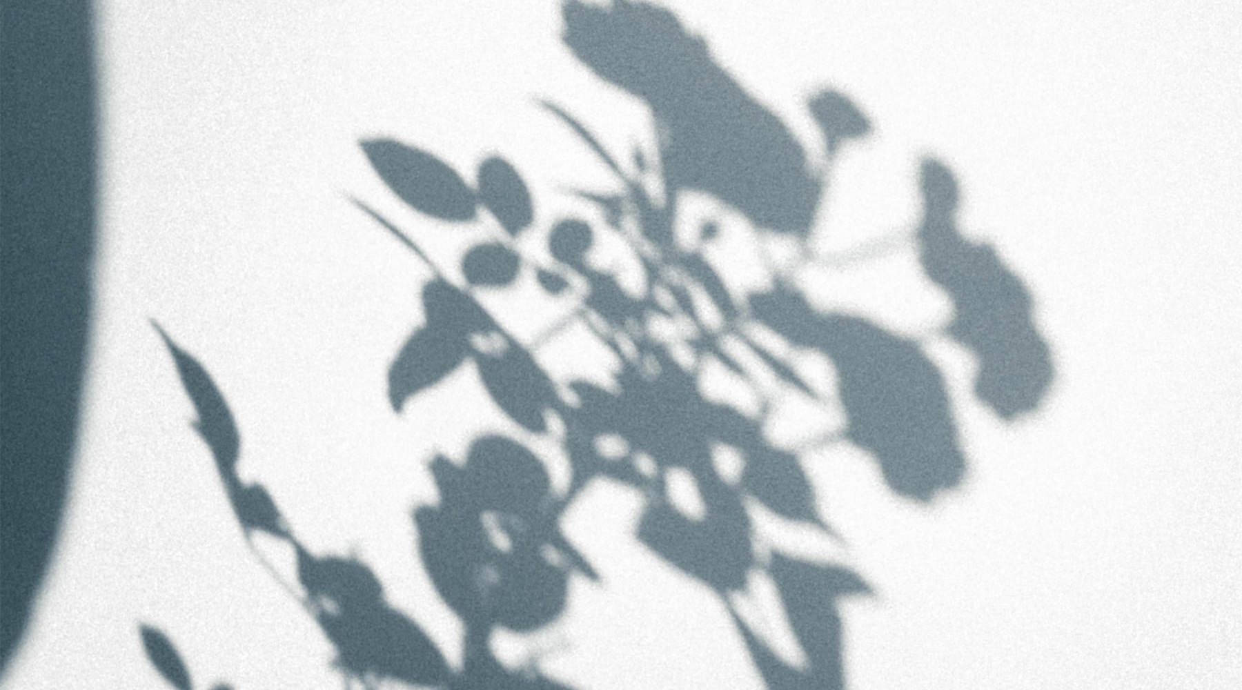 Modern Farmhouse Designs